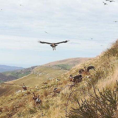 La Pasiega San Roque de Ríomiera Εξωτερικό φωτογραφία