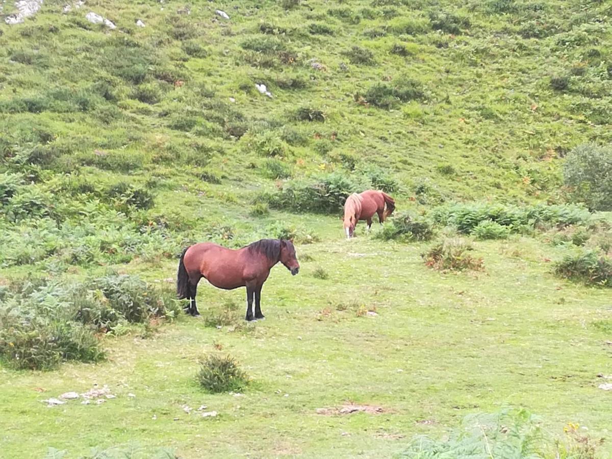 La Pasiega San Roque de Ríomiera Εξωτερικό φωτογραφία